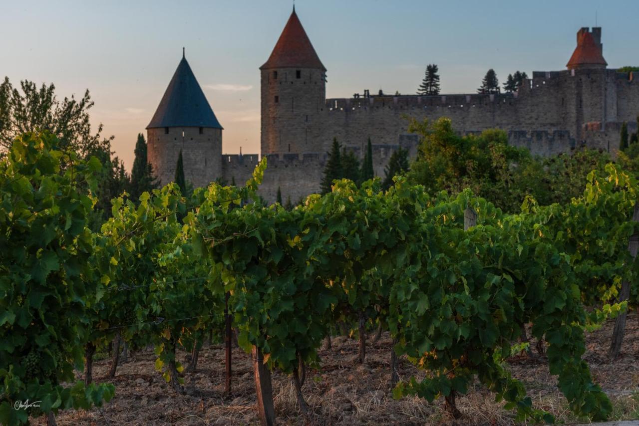 Cerise Carcassonne Sud Hotell Exteriör bild